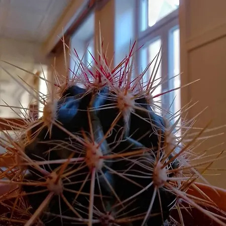 Mooi Garni Friedrichstadt